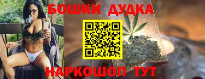 сатива Ставрополь