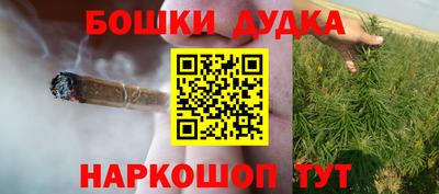 сатива Ставрополь